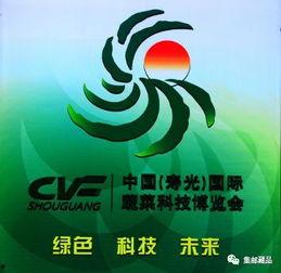 寿光新闻爆料网最新,聚焦民生热点，传递最新动态